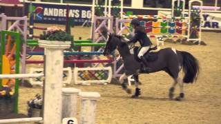 Showjumping Ponies For Sale